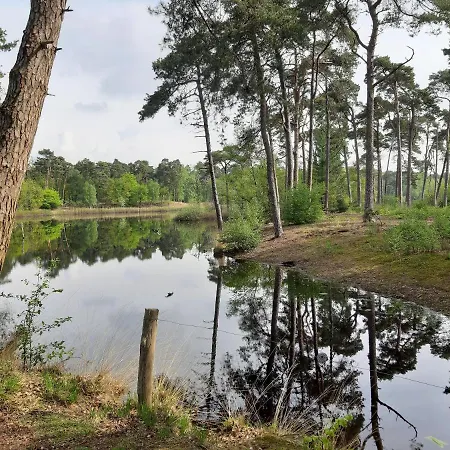 Blauwborst Oisterwijk