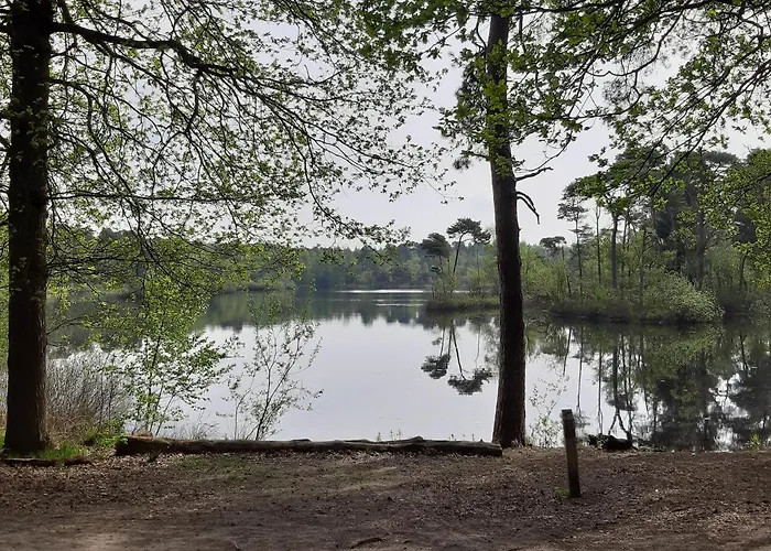 Blauwborst * Oisterwijk