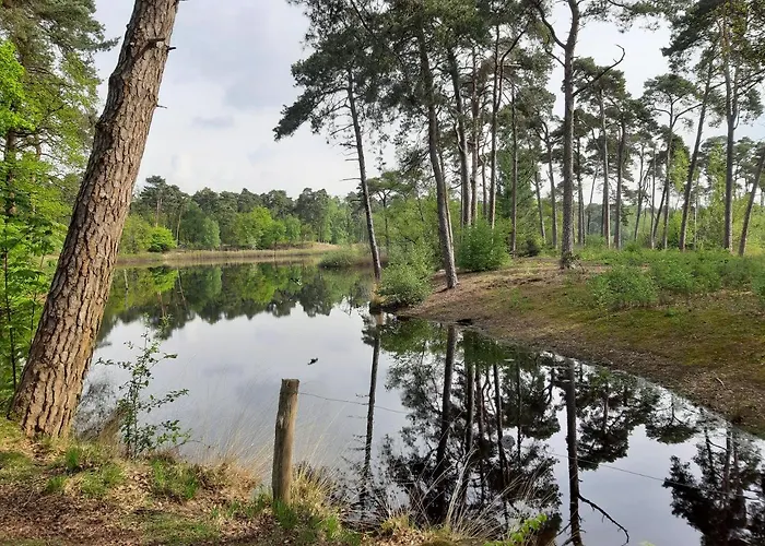 Blauwborst Oisterwijk