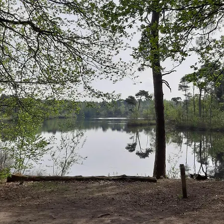 Blauwborst * أويسترفايك